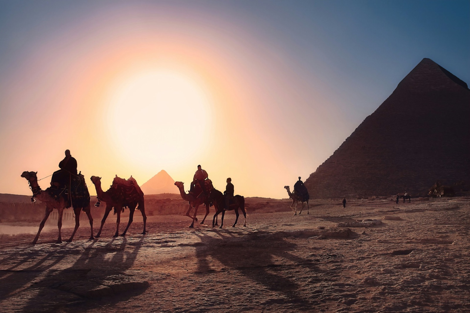 Camels crossing the sand in front of the pyramids at sunset