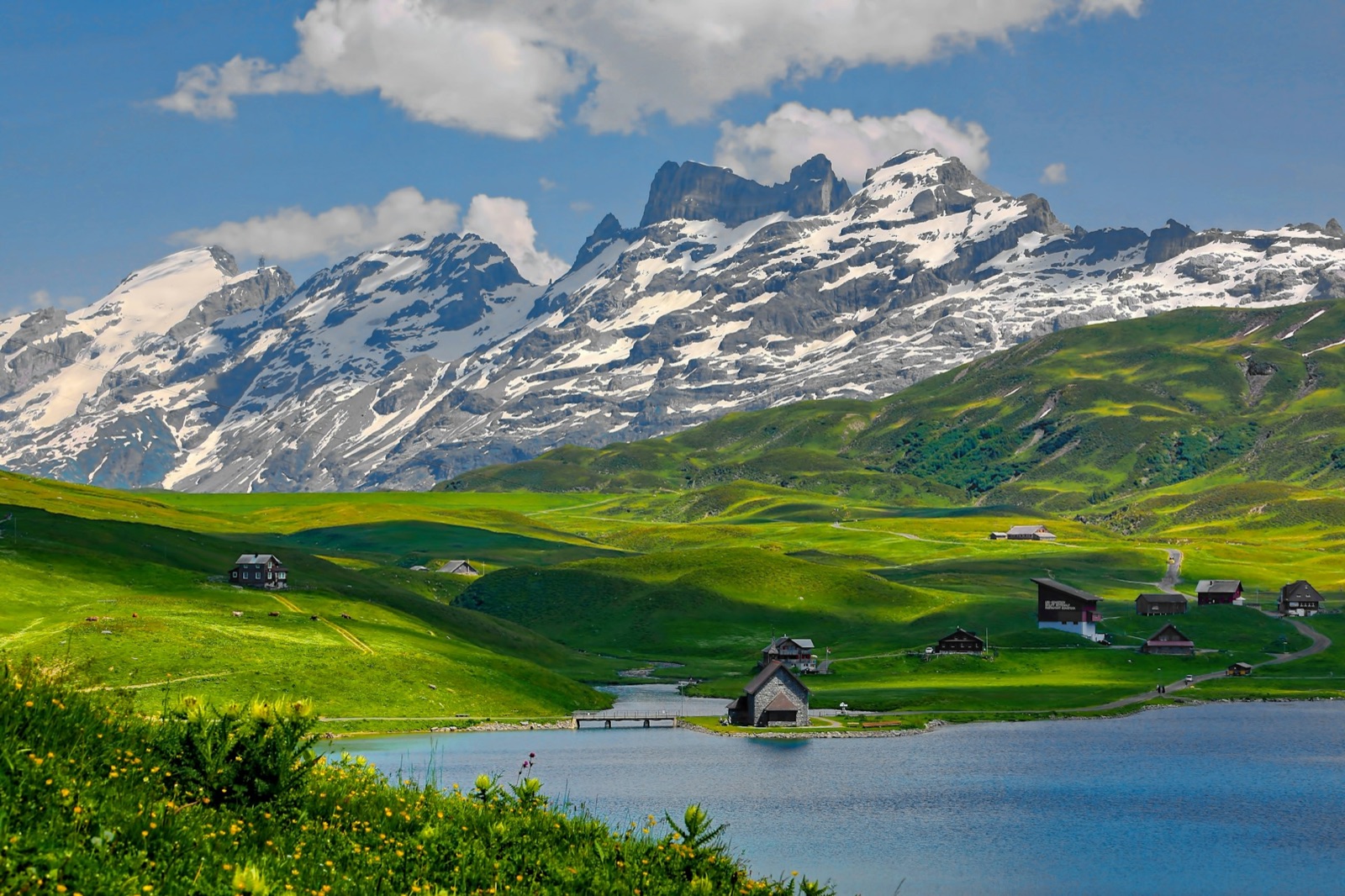 An alpine lake and meadow below snow-covered peaks in Switzerland