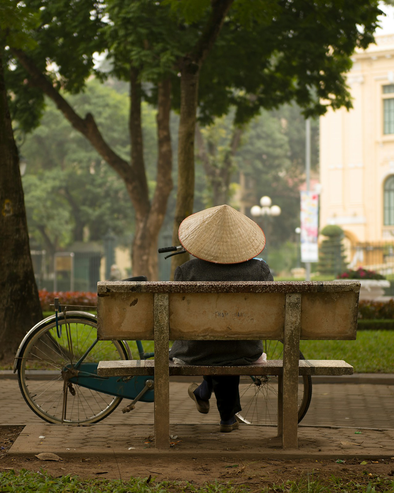 A quiet morning on a tree-lined street in Hanoi