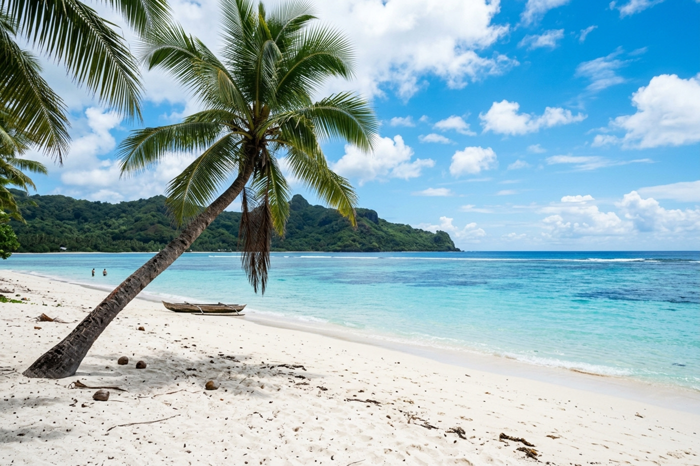 A leaning palm and an outrigger on white sand above a shallow bay