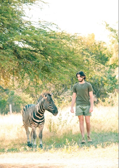 A traveler walking past a zebra in long grass