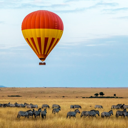 Africa